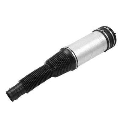 W220 Air Spring arrière