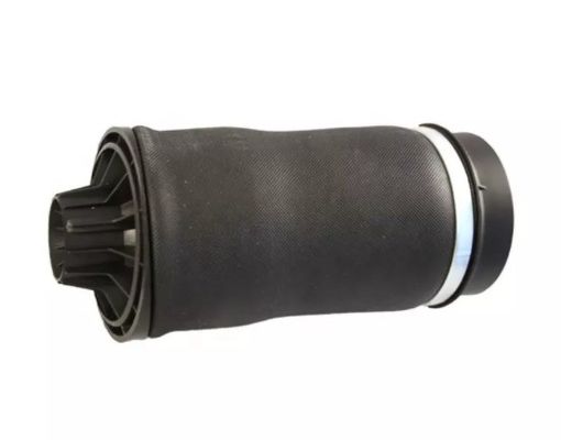 W251 À l'arrière du ressort pneumatique