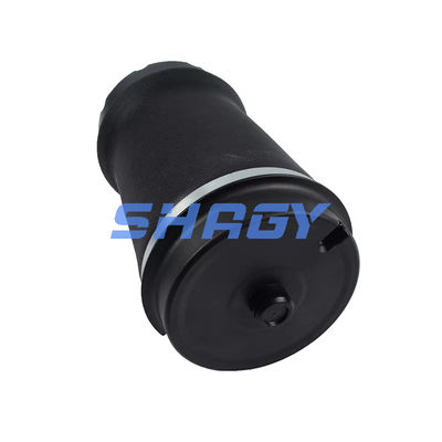 Convient pour une Land Rover L322 arrière RKB 500082 Air Spring